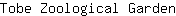 T***n