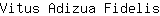 V***s