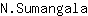 N***a