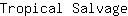 T***e