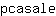p***e