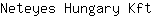 N***t