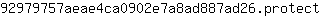 9***t
