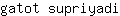 g***i