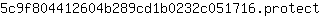 5***t