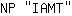 N***T