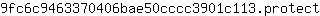 9***t