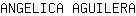 A***A