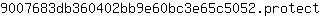 9***t