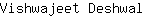 V***l