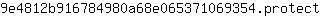 9***t
