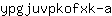 y***a