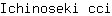 I***i
