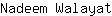 N***t