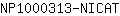 N***T