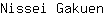 N***n