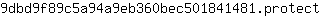 9***t