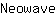 N***e