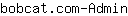 b***n