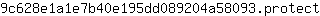 9***t
