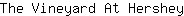 T***y