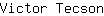 V***n