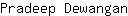 P***n