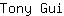 T***i
