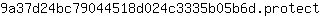 9***t