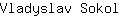 V***l