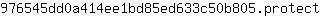9***t