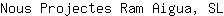 N***L