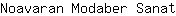 N***t