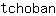 t***n