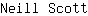 N***t