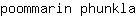 p***a