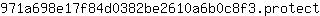 9***t