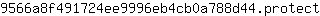 9***t