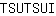 T***I