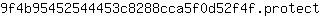 9***t
