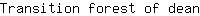 T***n