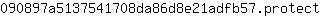 0***t