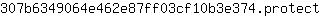 3***t