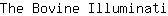 T***i