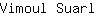 V***l