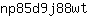 n***t