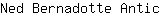 N***c
