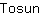 T***n
