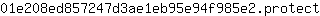 0***t