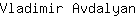 V***n
